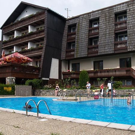 Hotel Pavla Vysocina Нове-Место-на-Мораве Экстерьер фото